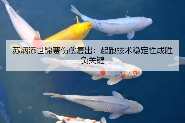 苏炳添世锦赛伤愈复出：起跑技术稳定性成胜负关键