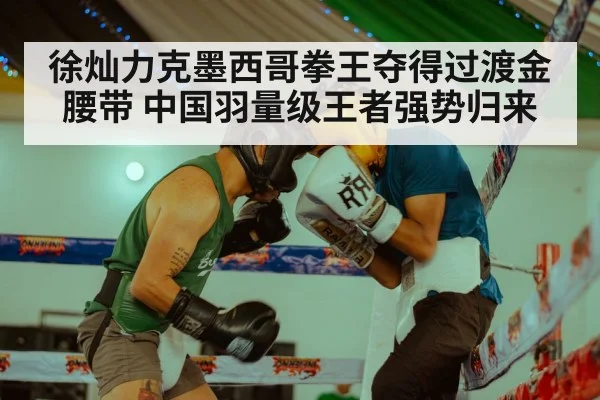 徐灿力克墨西哥拳王夺得过渡金腰带 中国羽量级王者强势归来