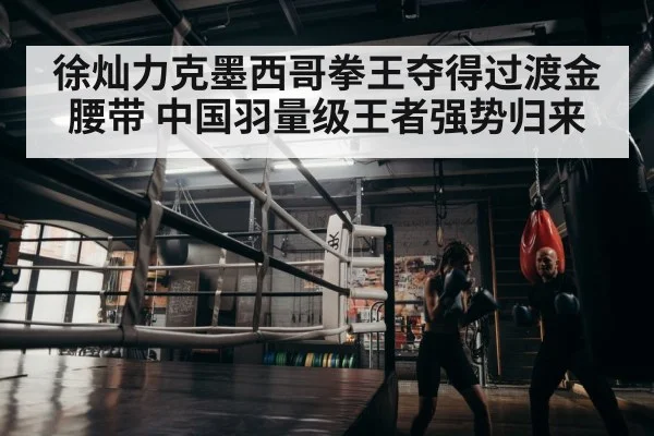 boxer training
